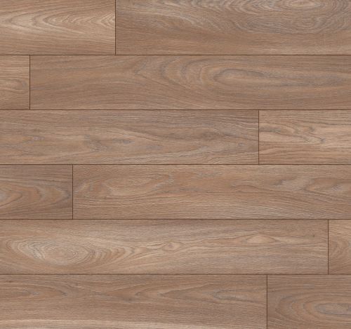 Дуб Лапачо 1872058