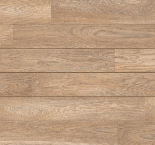 Дуб Сахара 1872059